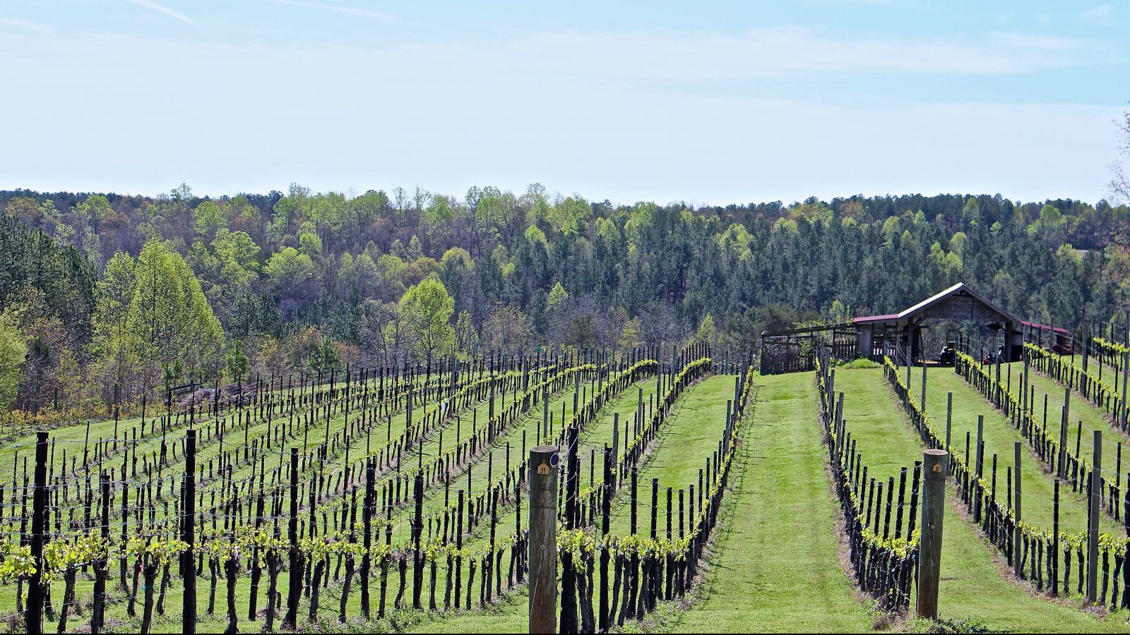 Picture of a winery